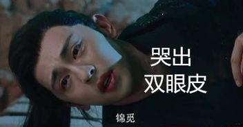 双乐颂2在线观看,精彩剧情与幕后花絮一网打尽