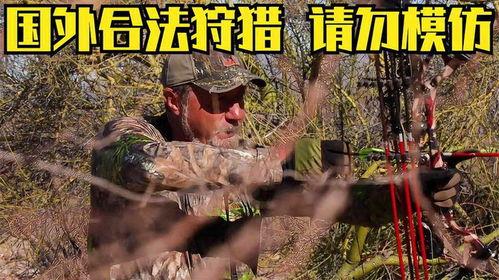 狩猎视频在线观看,在线观看惊心动魄的野生动物捕猎瞬间  第2张