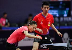 马特乒乓爆料视频大全集,揭秘乒乓球界的精彩瞬间与幕后故事  第3张