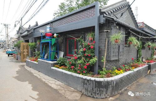 海丰美食街最新爆料视频,探秘最新爆料视频，味蕾盛宴即将开启！