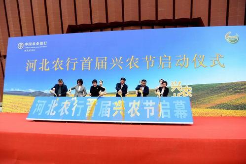 衡水最近爆料案件新闻,最新案件细节曝光，真相令人震惊！  第3张