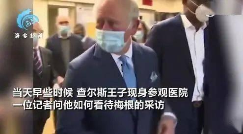 王室回应梅根爆料视频,真相与澄清 第3张 王室回应梅根爆料视频,真相与澄清 第3张