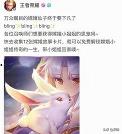 小自选卡更新爆料最新,揭秘最新爆料亮点  第2张