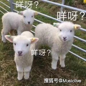 灰小羊视频爆料大全,揭秘娱乐圈幕后真相 第2张 灰小羊视频爆料大全,揭秘娱乐圈幕后真相 第2张