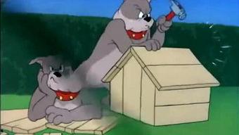 灰小羊视频爆料大全,揭秘娱乐圈幕后真相 第3张 灰小羊视频爆料大全,揭秘娱乐圈幕后真相 第3张