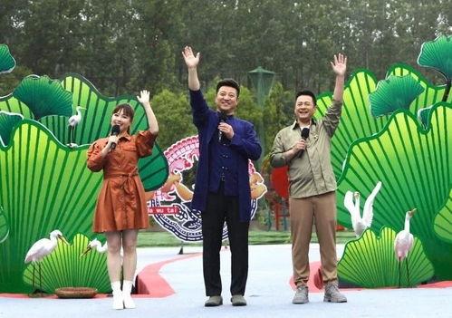 衡水医生爆料最新消息视频,最新医疗事件视频揭露惊人真相  第3张