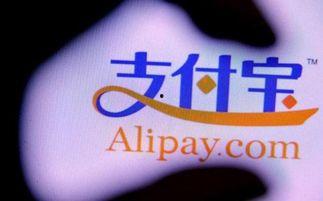 支付宝爆料视频,功能升级与用户体验革新