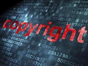 爆料视频版权费多少钱,爆料视频版权费惊人内幕，究竟价值几何？  第2张