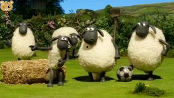 是谁爆料小羊的视频大全