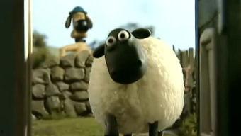 是谁爆料小羊的视频大全 第2张 是谁爆料小羊的视频大全 第2张